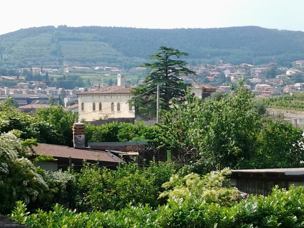 Agriturismo Corte Galvani Negrar Kültér fotó